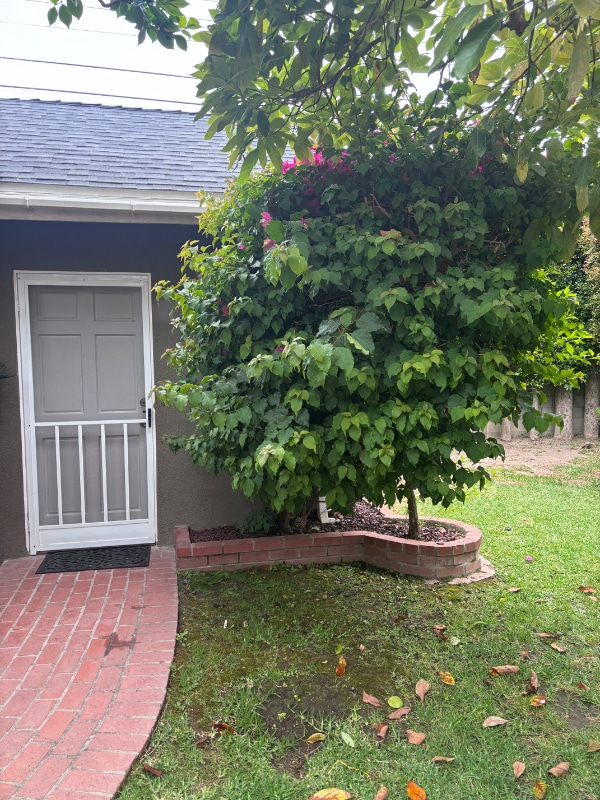 property at 8317 Kenyon Ave