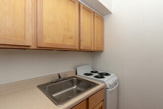 539 W Arlington Pl in Chicago, IL - Building Photo - Building Photo