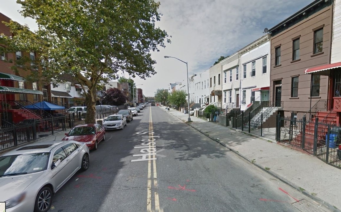 1033 Halsey St in Brooklyn, NY - Building Photo