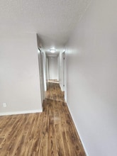 2050 Del Mar Dr in Colorado Springs, CO - Foto de edificio - Building Photo