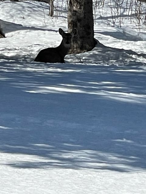 5005 Glenwood St in Duluth, MN - Building Photo - Building Photo