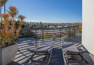 1283 Havenhurst Dr in West Hollywood, CA - Building Photo - Building Photo