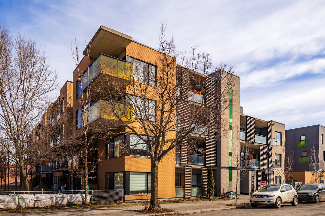 Platopolis D in Montréal, QC - Building Photo