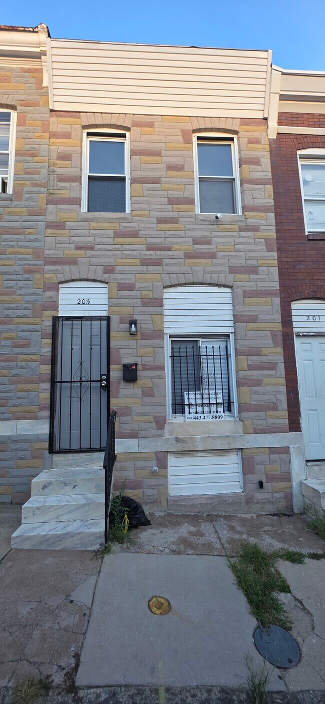 property at 203 N Curley St