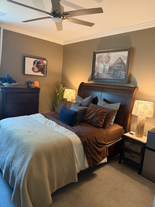 3242 Chapel Hills Pkwy