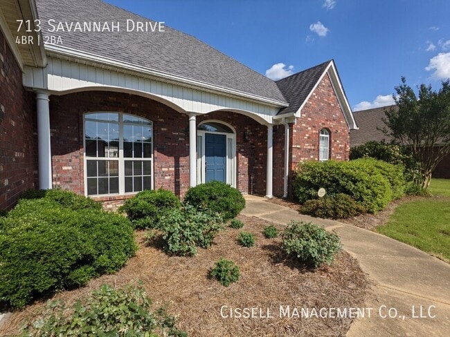 713 Savannah Dr in Oxford, MS - Building Photo - Building Photo