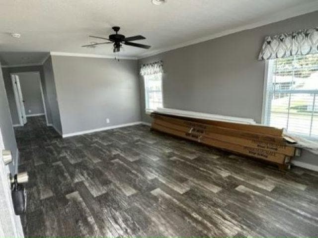 6141 Balboa Ave in New Port Richey, FL - Foto de edificio - Building Photo