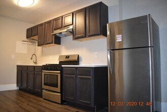 3014 N Downing St in Denver, CO - Building Photo - Building Photo