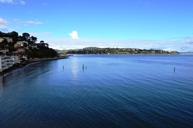 100 South St in Sausalito, CA - Building Photo - Building Photo