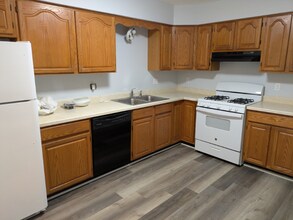 201 Chamberlain Dr in Dekalb, IL - Building Photo - Building Photo