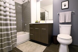 209 W Ontario St in Chicago, IL - Building Photo