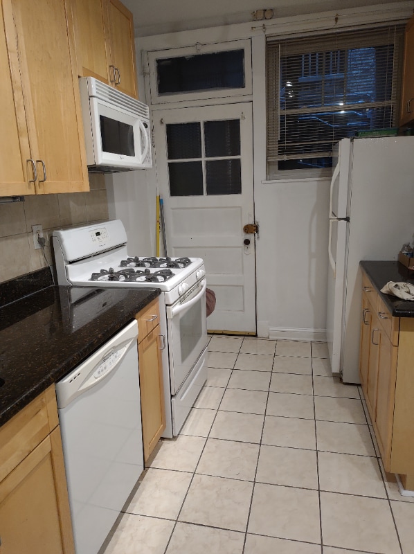 539 W Addison St in Chicago, IL - Building Photo - Building Photo