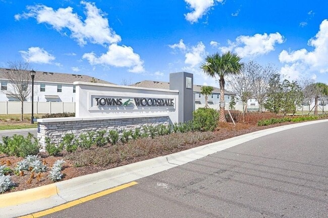 31298 Paper Birch St in Wesley Chapel, FL - Building Photo - Building Photo