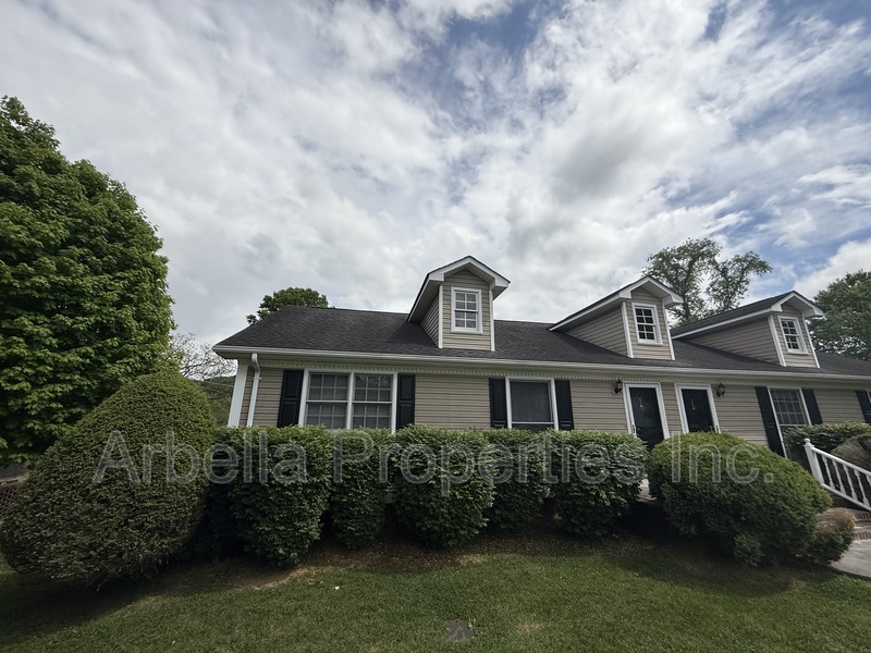 115 Rowe Ln in Johnson City, TN - Building Photo