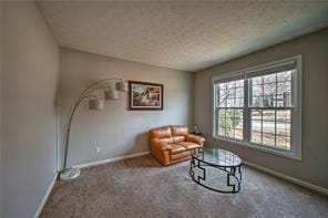 2234 Oak Falls Ln in Buford, GA - Building Photo - Building Photo