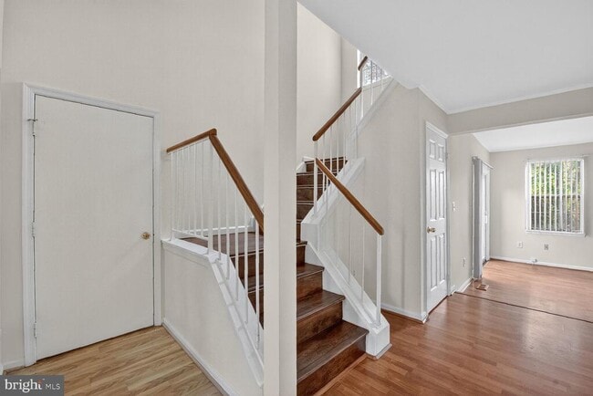 14345 Jacob Ln in Centreville, VA - Building Photo - Building Photo