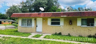 14011 Carmen Ct in Tampa, FL - Building Photo
