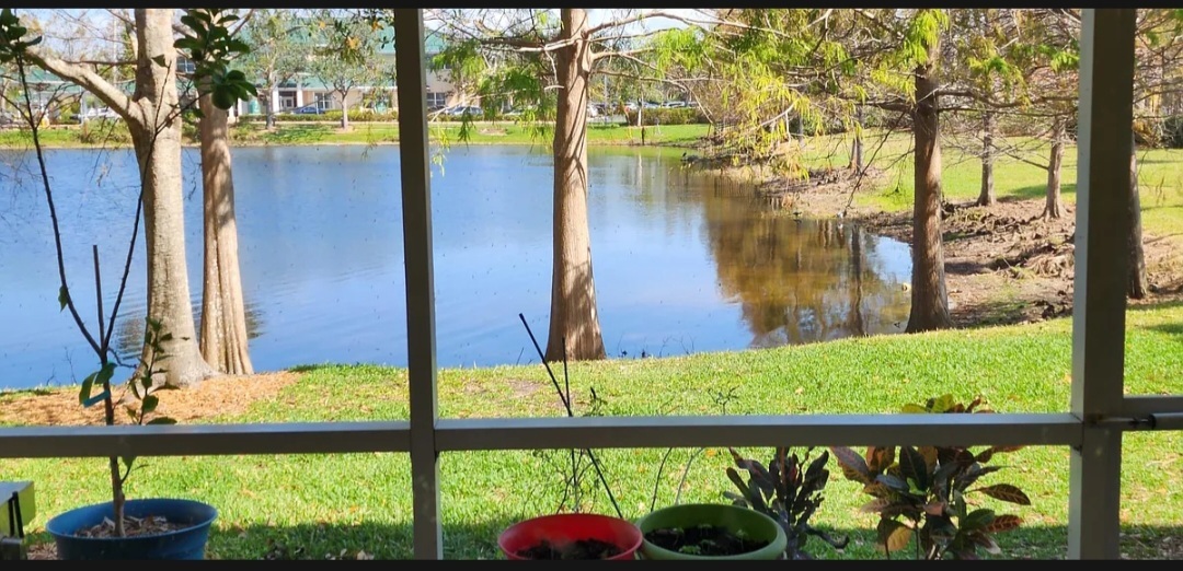 16000 Via Solera Cir in Ft. Myers, FL - Building Photo