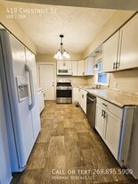 419 Chestnut St in Dowagiac, MI - Building Photo