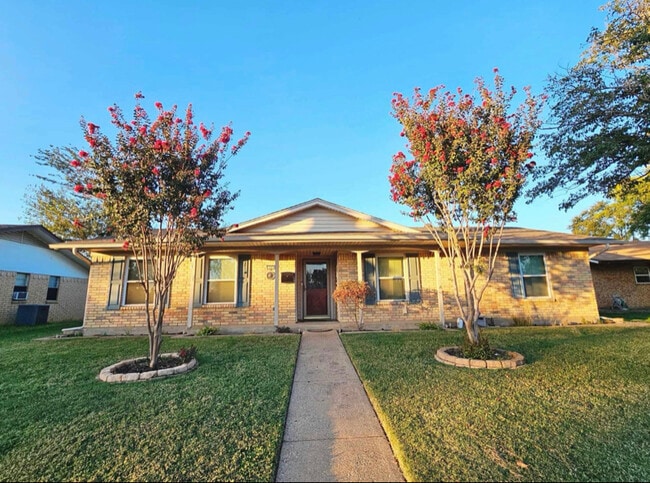 property at 1609 San Antonio Ln