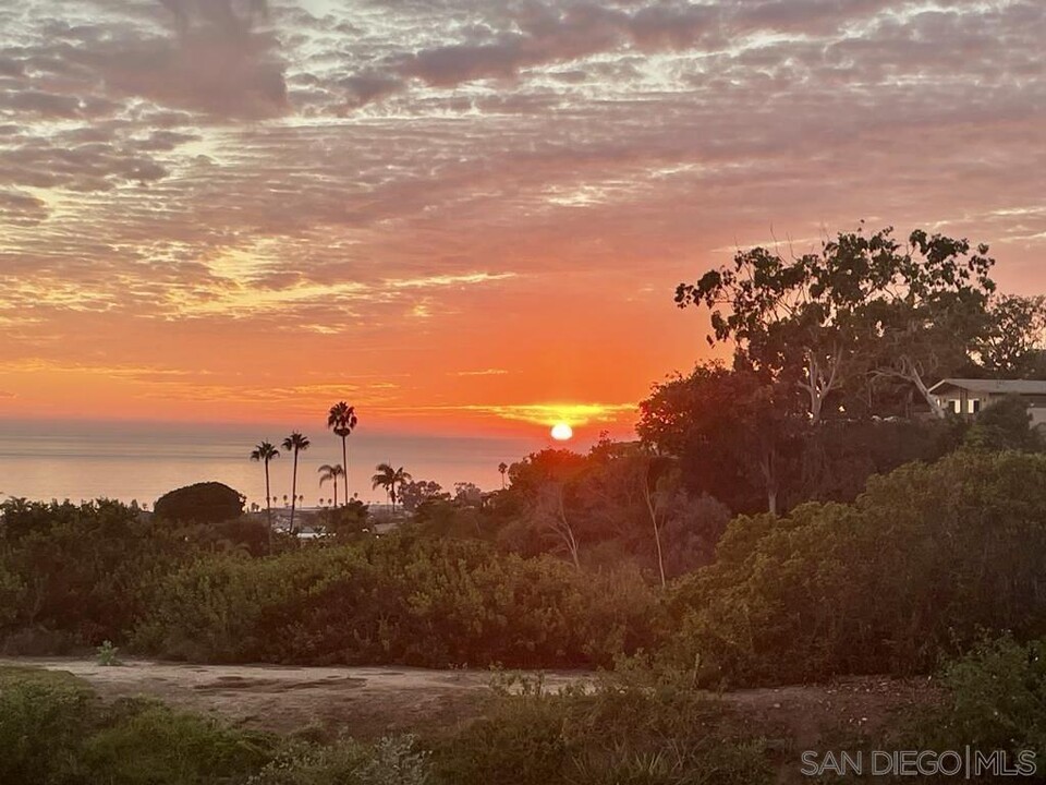 1309 Kaimalino Ln in San Diego, CA - Building Photo