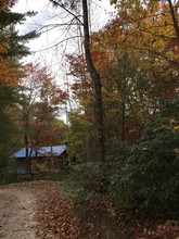 Fall Creek Cabins in Purlear, NC - Building Photo - Building Photo