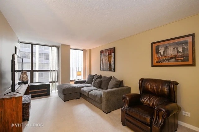 230 E Ontario St in Chicago, IL - Building Photo - Building Photo