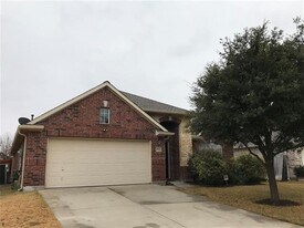 2732 Cascade Cove Dr in Little Elm, TX - Building Photo