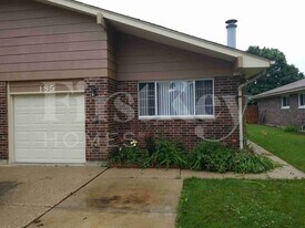 185 Paramount Dr in Wood Dale, IL - Building Photo