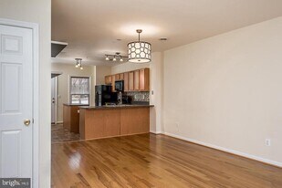 524 St Mary St in Baltimore, MD - Building Photo