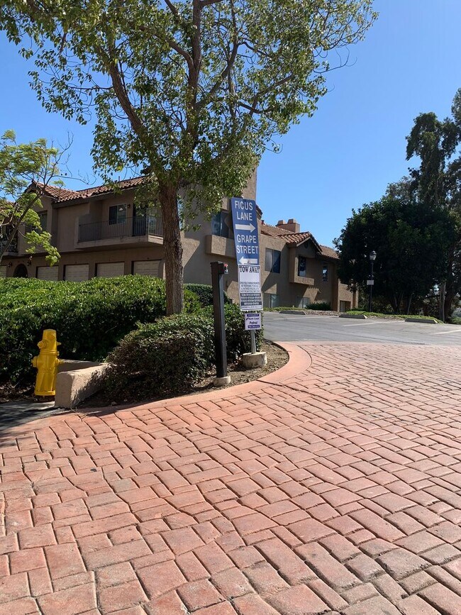 1044 Grape St in San Marcos, CA - Building Photo - Building Photo