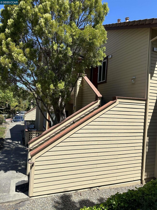 161 Tuscany Ct in Hercules, CA - Building Photo - Building Photo