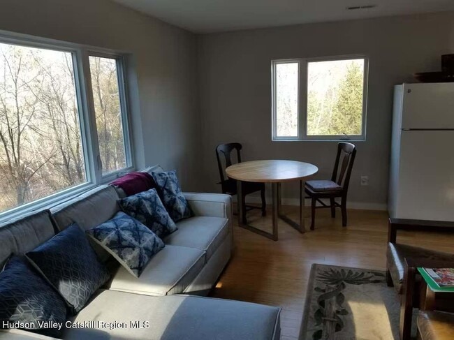 501 Cold Brook Rd in Bearsville, NY - Building Photo - Building Photo