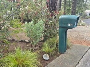 586 W Dundee Ct in Applegate, CA - Building Photo - Building Photo