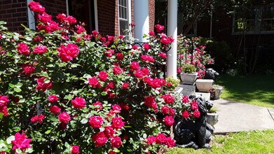 313 Parkway St in Charlottesville, VA - Foto de edificio - Building Photo