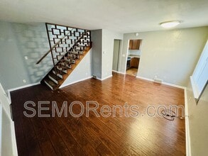 301 S Spring St in Cape Girardeau, MO - Building Photo - Building Photo