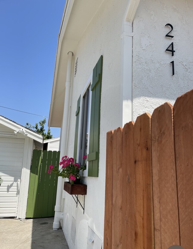 property at 241 Joy St
