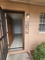 906 E 108th Ave in Tampa, FL - Building Photo