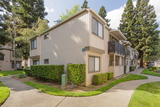 Natomas Village Apartments in Sacramento, CA - Building Photo - Building Photo