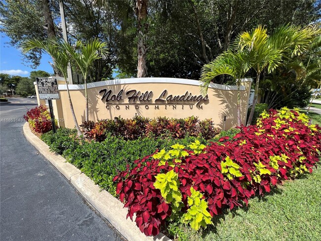 9905 Westwood Dr in Tamarac, FL - Building Photo - Building Photo