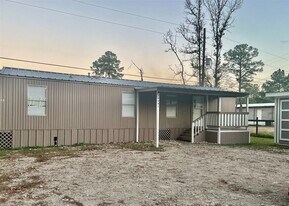 20805 S Navasota Dr in New Caney, TX - Building Photo