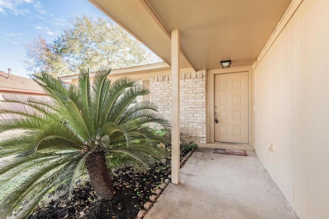 1007 Cascade Creek Dr in Katy, TX - Building Photo - Building Photo