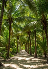 Alamar at Fernwood Forest in Indiantown, FL - Foto de edificio - Building Photo