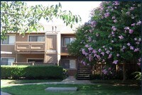 Gold Ridge Apartments - Gold Ridge Apartments in Sacramento, California