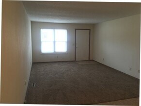 1017 S Lexington Ave in Springfield, MO - Building Photo - Building Photo