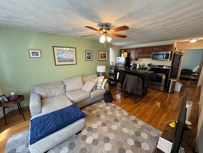 property at 217 Holland St