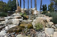 Bella Park Apartments photo'