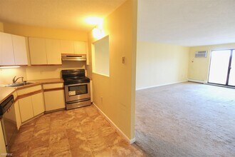 131 Coolidge Ave-Unit -Apt 622 in Watertown, MA - Building Photo - Building Photo