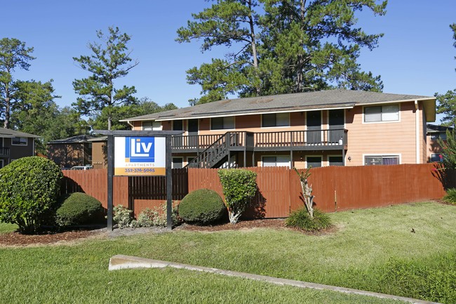 Liv Apartments in Gainesville, FL - Foto de edificio - Building Photo