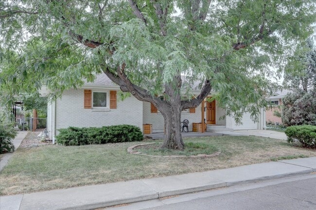 1538 Gay St in Longmont, CO - Building Photo - Building Photo